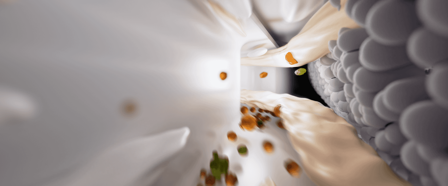 roborock australia f25 wet dry vacuum smart one-stroke cleaning for spotless floors