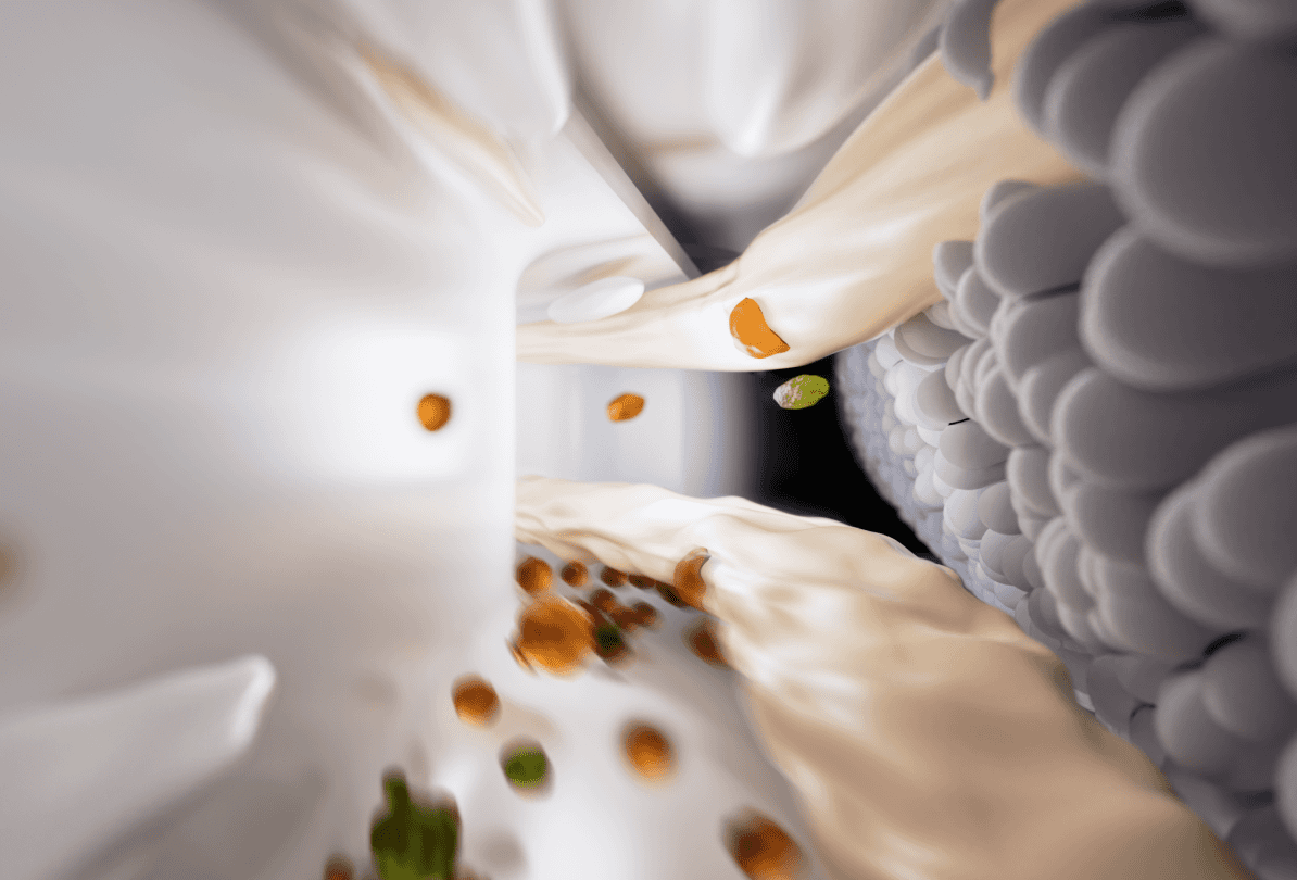 roborock australia f25 wet dry vacuum smart one-stroke cleaning for spotless floors