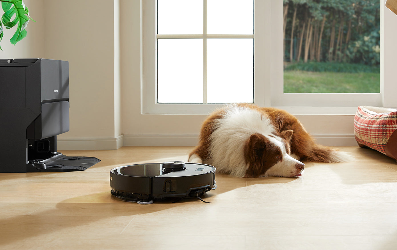 roborock s8 maxv ultra pet-friendly power