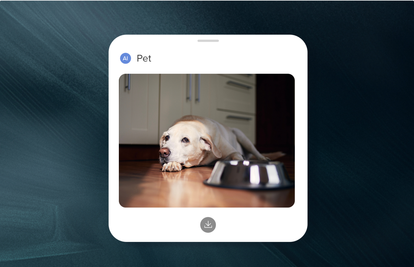 roborock s8 maxv ultra pet snaps