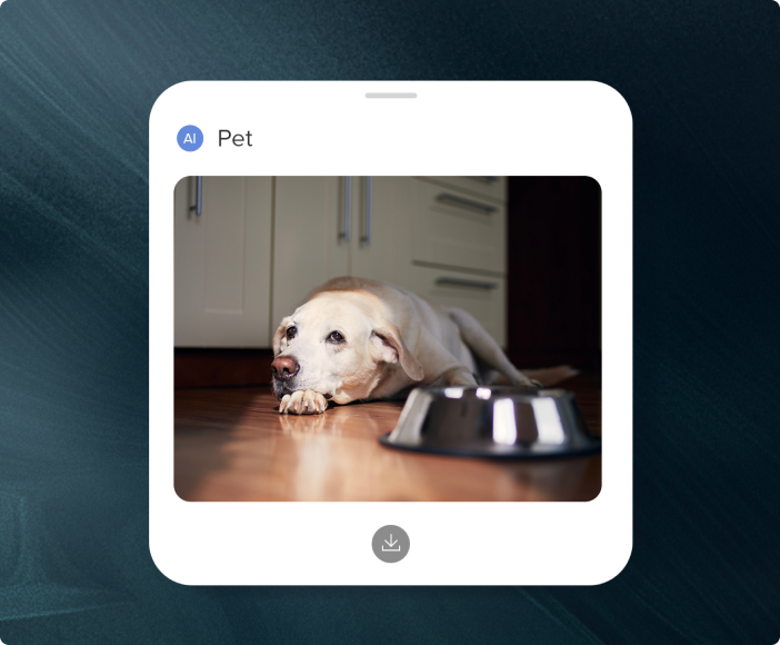 roborock s8 maxv ultra pet snaps