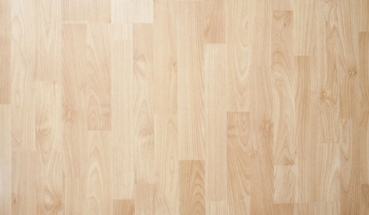 dyad pro with the auto dispenser roborock australia