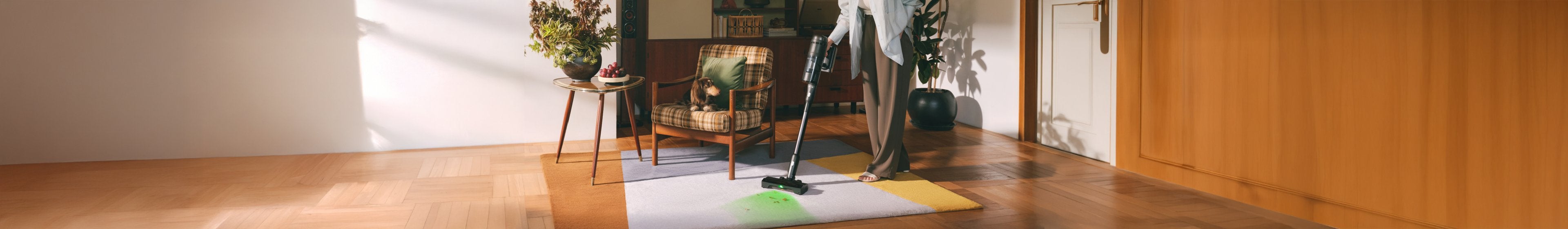 Cordless Vacuum Cleaner