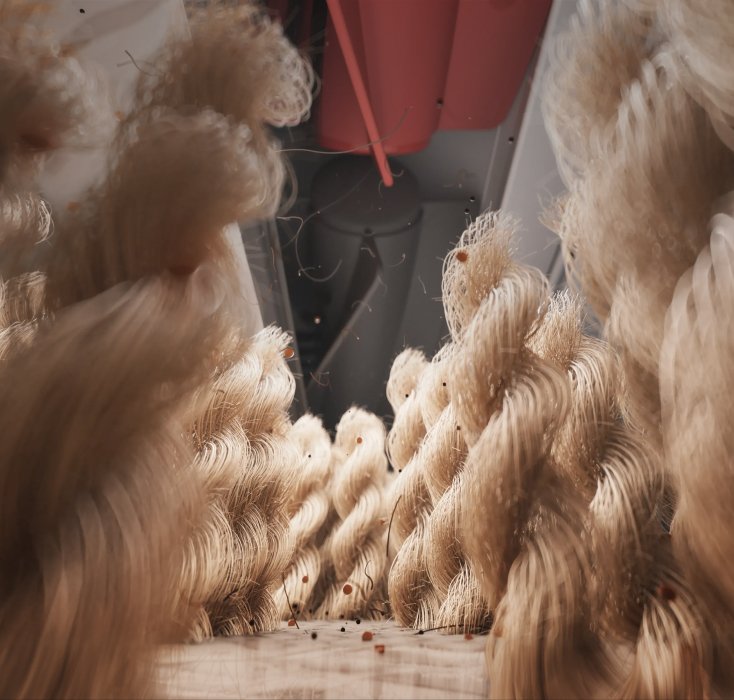 Advanced Carpet Cleaning